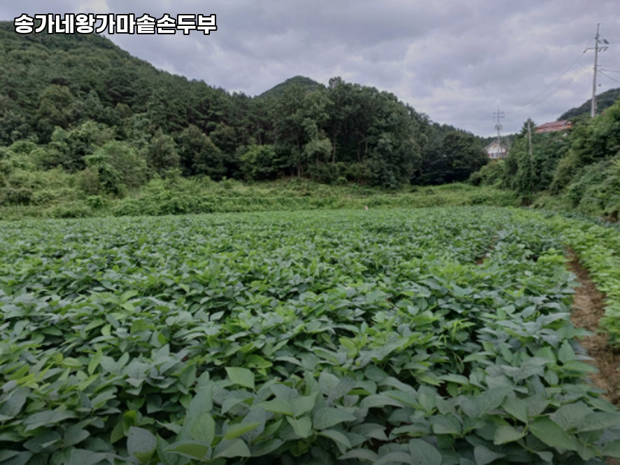 송가네왕가마솥손두부 사진 3
