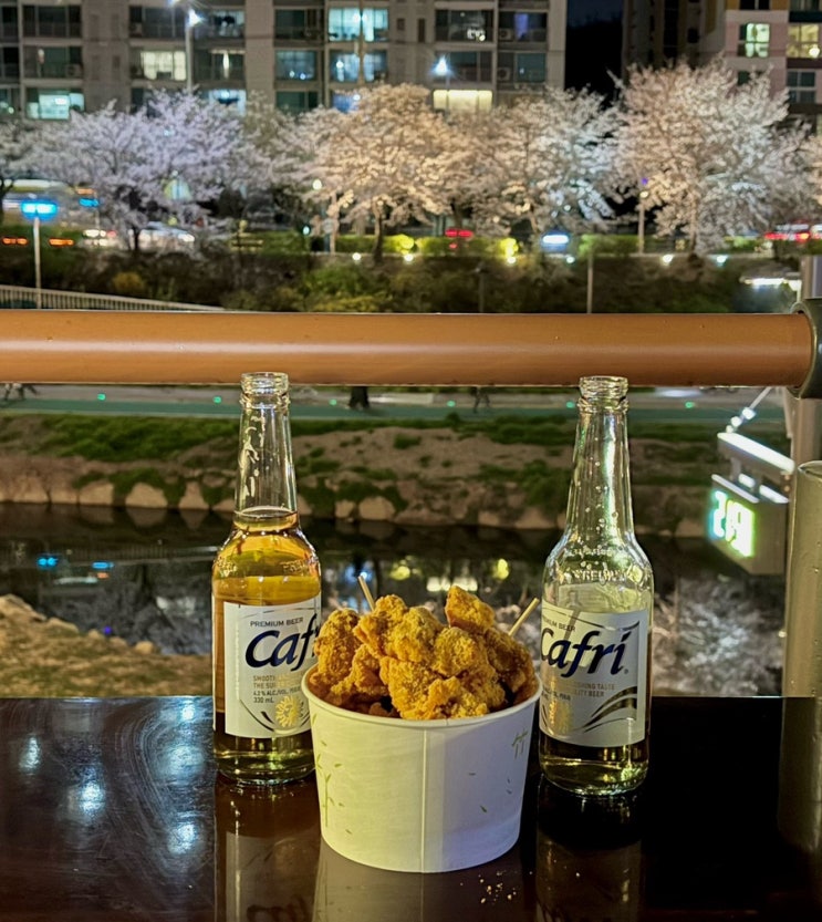  숨겨진 불광천 벚꽃 야장 할수있는곳
