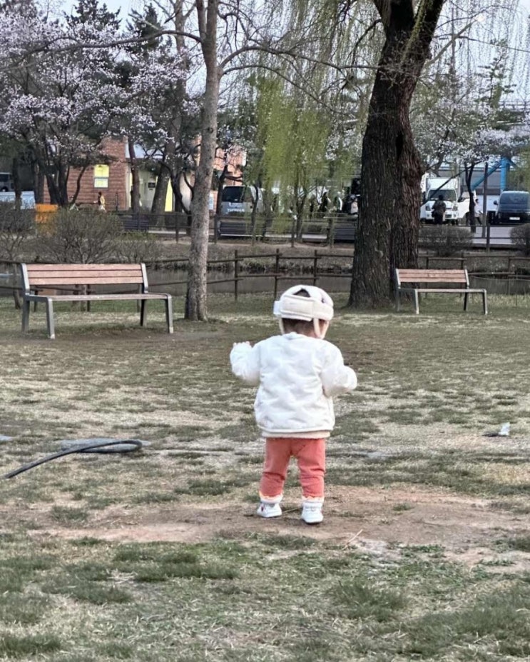 9개월에부터 아기 걸음마| 손녀 링링이의 빠른 걸음마 9개월에부터 아기 걸음마| 손녀 링링이의 빠른 걸음마
