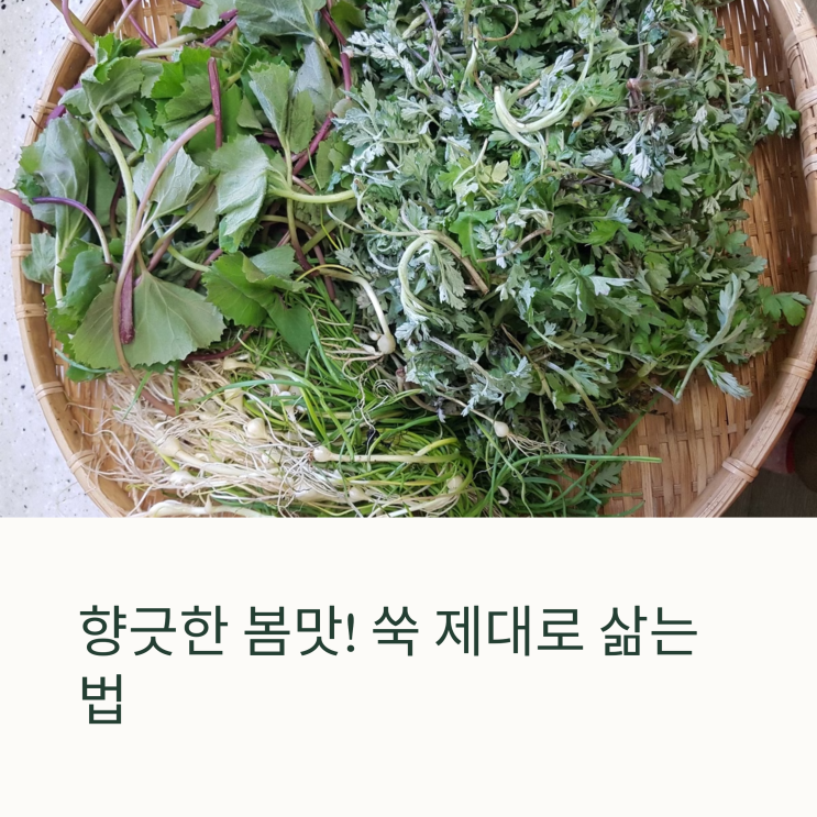  쑥 삶는 법부터 보관까지! 초보도 실패 없는 손질+삶기 가이드