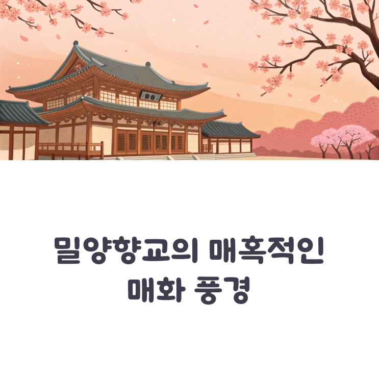  밀양 매화 명소, 향교 주변 볼거리와 개화 현황