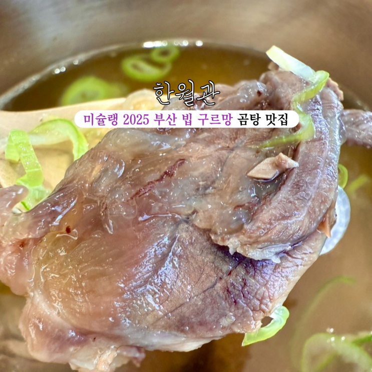  광안리 맛집 한월관 : 미슐랭 2025 부산 빕구르망 곰탕 맛집 [부산 광안리]