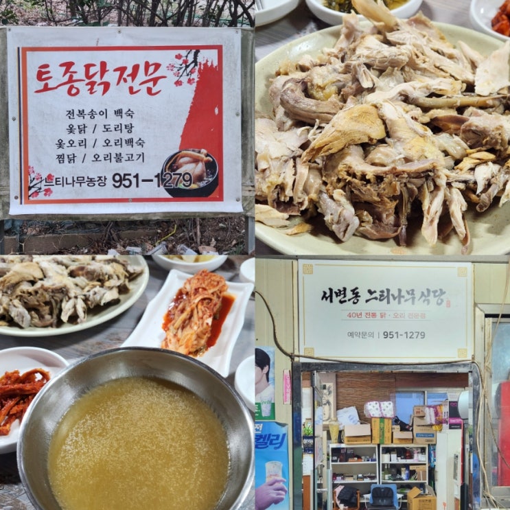  대구 서변동맛집 추천 느티나무식당 옻닭으로 가족 보양 제대로