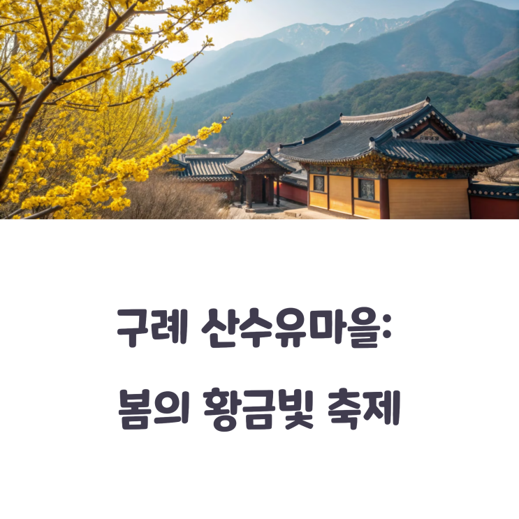  구례 산수유마을 포토스팟 및 개화상황 리뷰