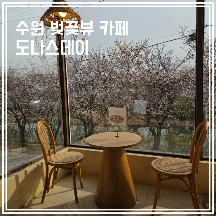  수원 벚꽃뷰 카페 도나스데이 도넛맛집 애견동반 가능