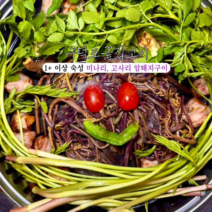  서면 맛집 구덕포끝집고기 서면전포점 : 미나리, 고사리와 즐기는 직접 그릴링해주는 1+ 이상 숙성 암퇘지구이 전문점 [부산 전포]