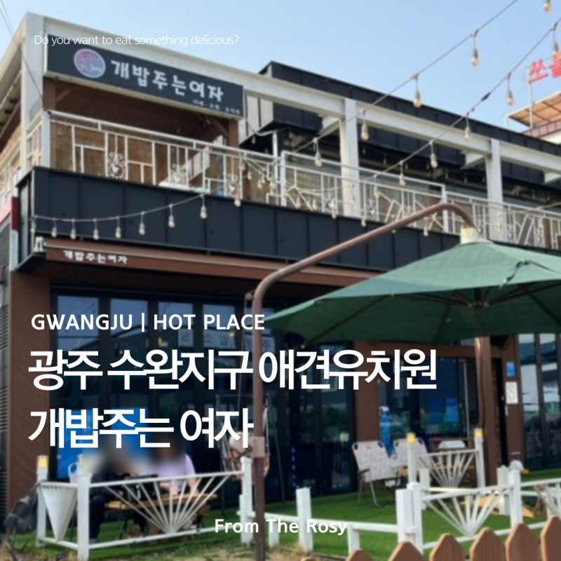 개밥주는여자