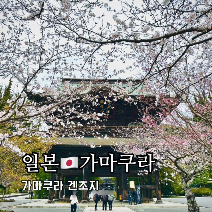 도쿄근교여행 가마쿠라여행 가볼만한곳 겐초지 건장사 도쿄근교여행 가마쿠라여행 가볼만한곳 겐초지 건장사