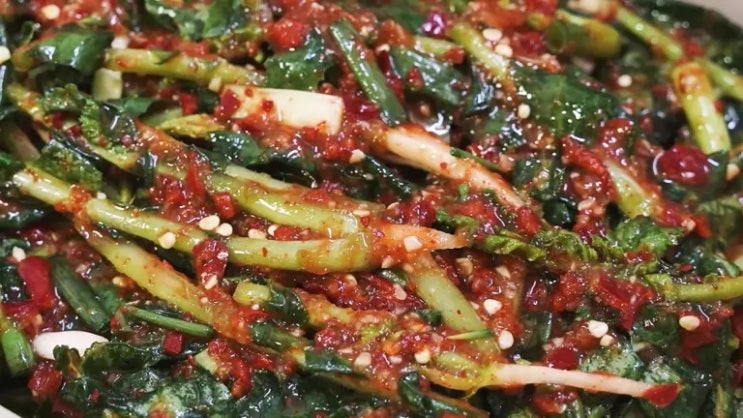 3가지 포인트로 감칠맛 폭발! 열무김치 담그는법!! 실패 없이 누구나 맛있게!