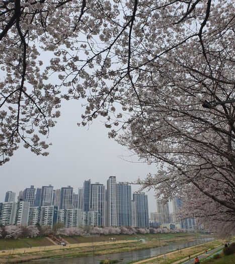  철산자이 더 헤리티지 공사비 갈등 마침표 이제는 꽃길이다.