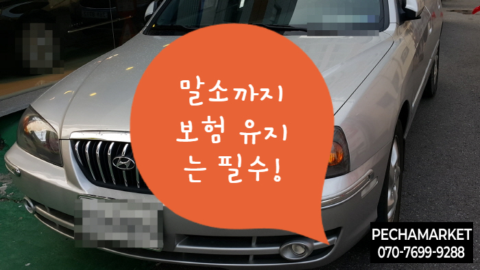  말소까지 보험 유지는 필수!