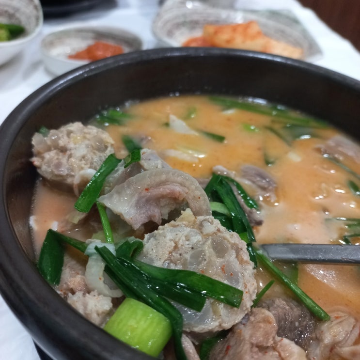  브이로그 최고 여행지 울진 맛집 백암토종 순대 죽변 우성식당 제주 한라산 쑥 찐빵