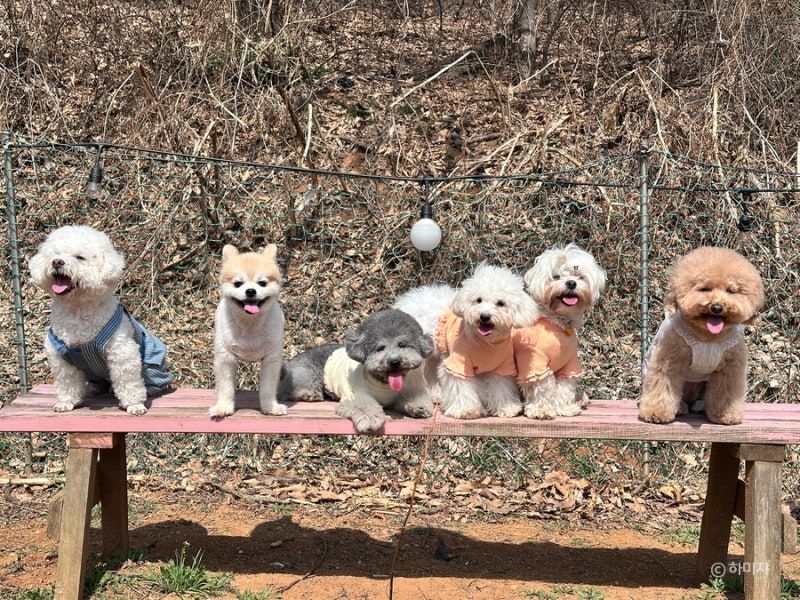 사진 6