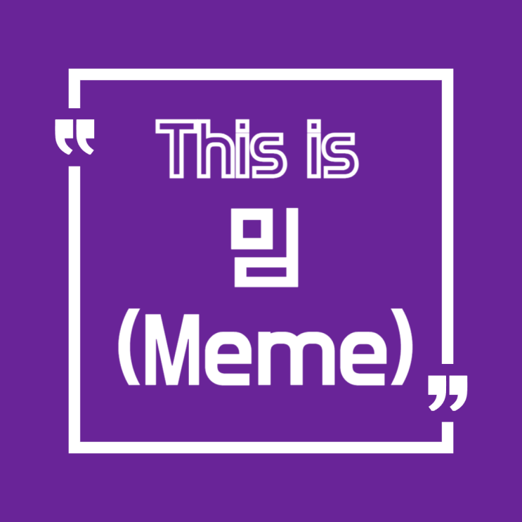  ️ 인터넷 밈 정복 가이드!