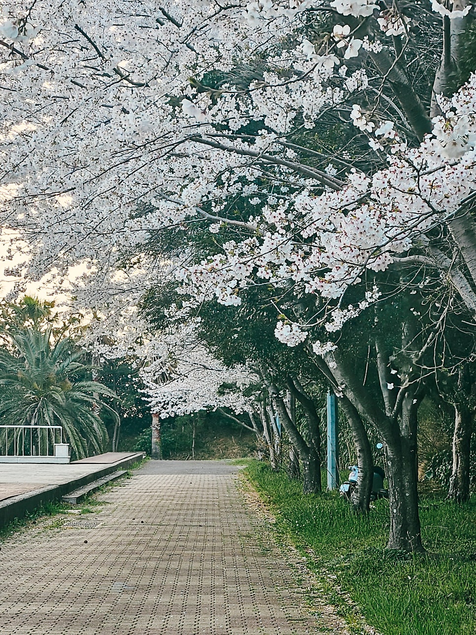 오름인라인교실 사진 2