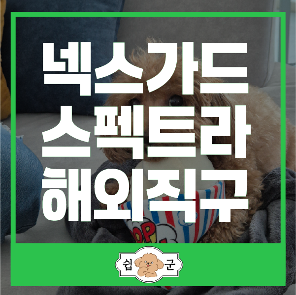  넥스가드 스펙트라 해외 직구 방법 (+쉽군)