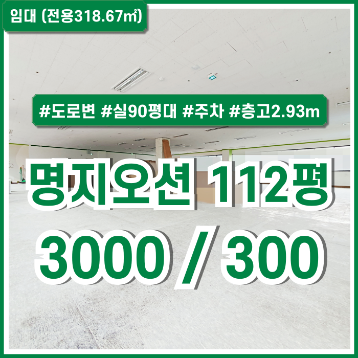  [임대] 부산 강서구 명지오션시티100평대사무실 엘리베이터 주차장 갖춘 명지대형사무실 노유자시설 층고 높고 장애인시설 갖춘 곳!