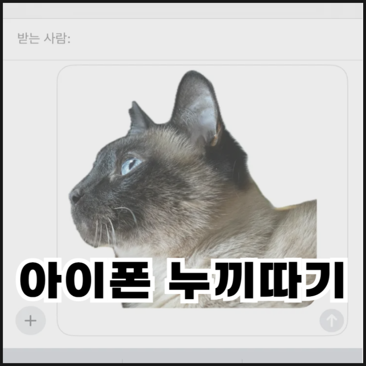  아이폰 누끼따기 붙여넣기 스티커 저장하기