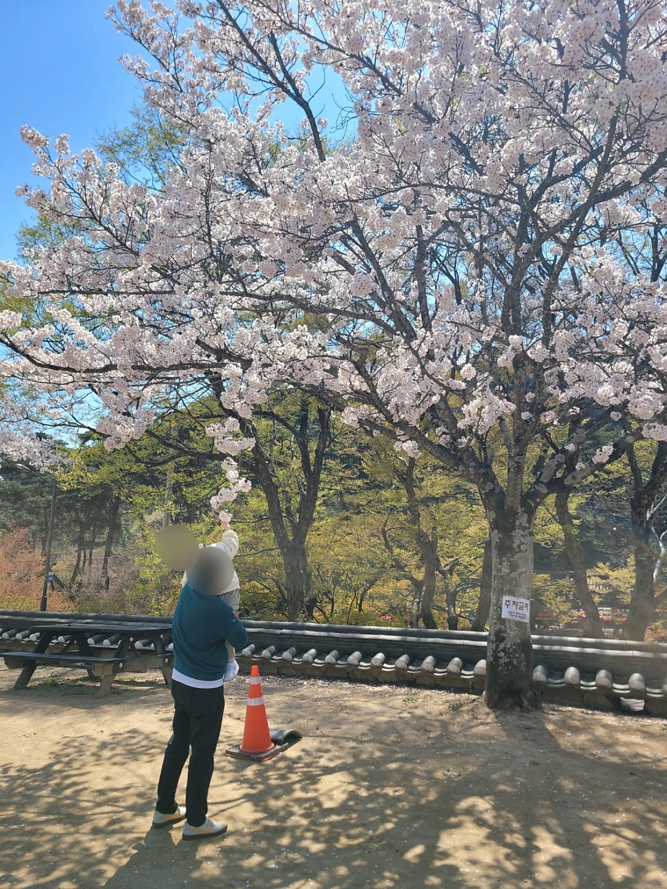 진미원 사진 3