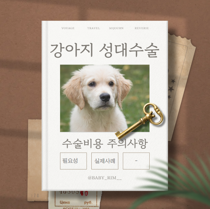 강아지 성대수술 해야할까, 수술비용과 주의사항 등