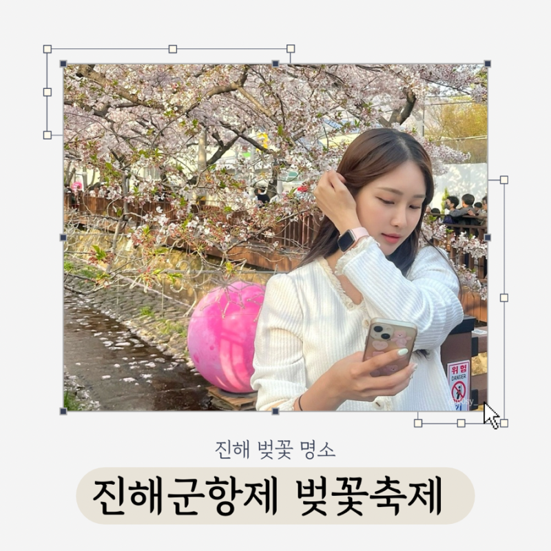 진해군항제 벚꽃축제 일정, 개화시기, 주차, 포토존 총정리