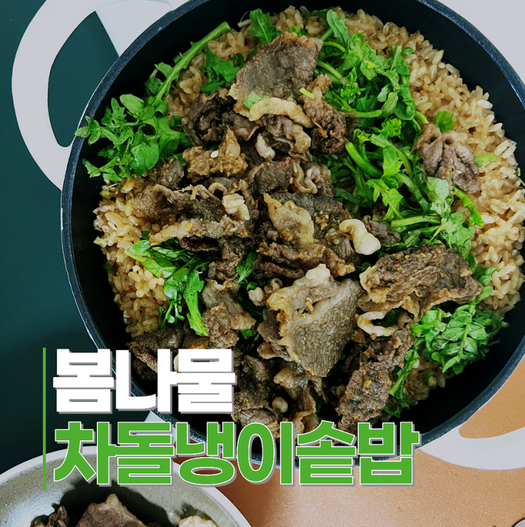  봄 제철음식 차돌 냉이솥밥 레시피 건강 한끼 추천