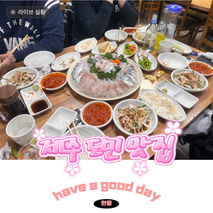  제주 맛집 내돈내산 도민 맛집 시골못난이투 고등어회