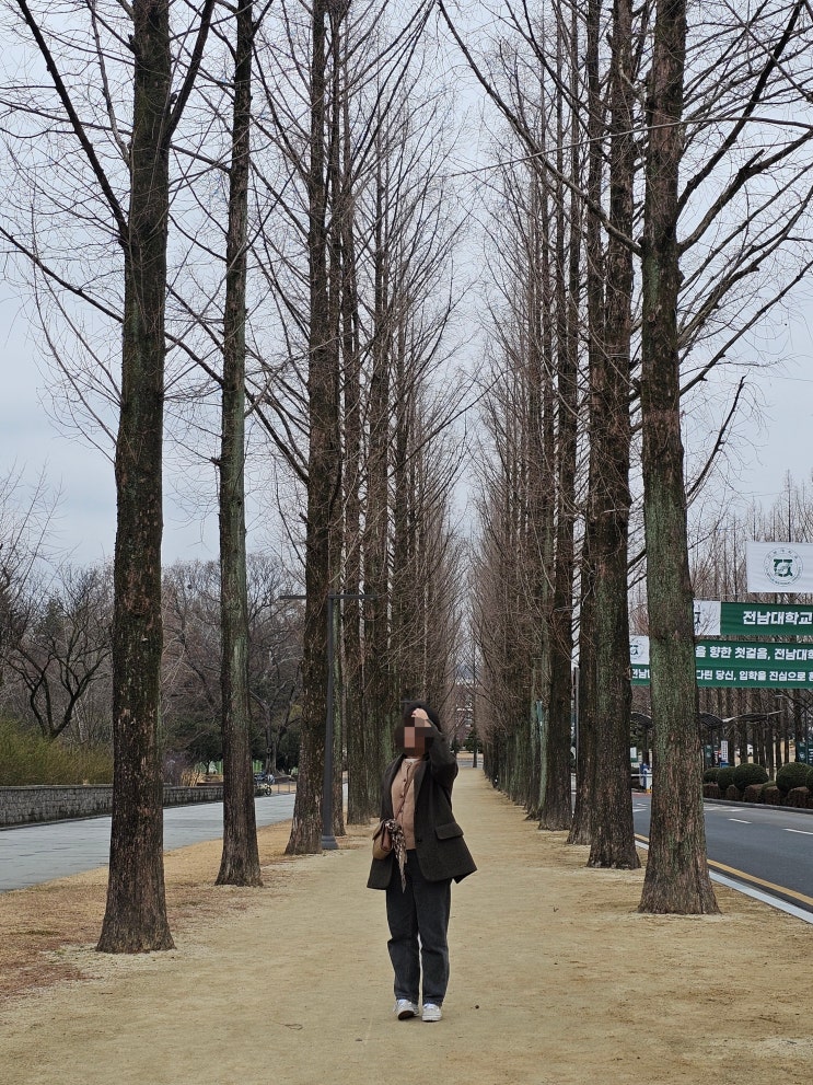  (광주 여행) 새벽 비가 내린 뒤의 광주여행 2일차 -양림동 가볼만한 곳-