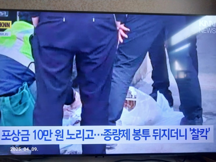 분리수거 규정위반 신고포상금 파파라치 극성ㅣ내다버린 종량제봉투 쓰레기봉지 뒤져 신고