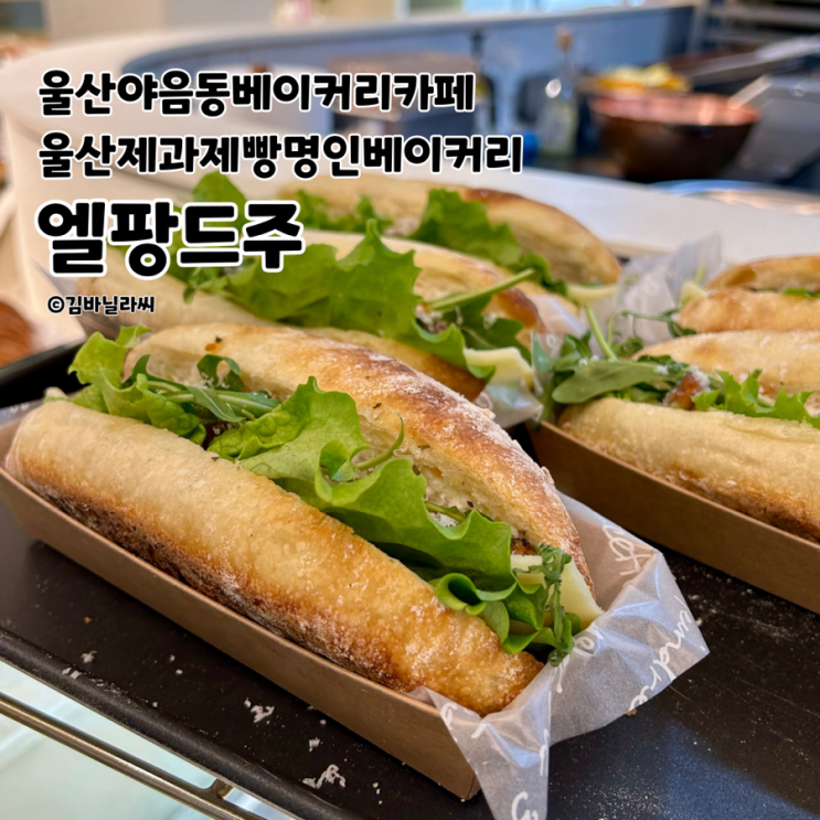  울산 야음동 베이커리 카페 엘팡드주 제과제빵 기능장 할라피뇨 베이글 맛집