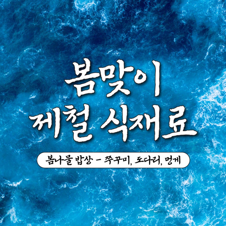 봄 제철음식 해산물 쭈꾸미 도다리 멍게
