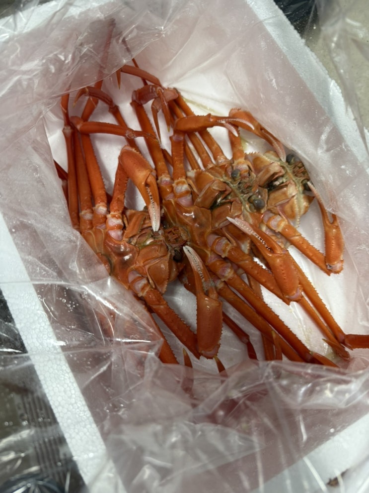  포항 죽도시장에서 당일 직배송된 성후수산 홍게, 집에서 편하게 즐기기