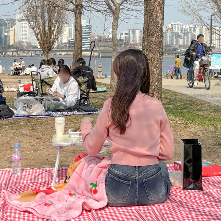  여의도 돗자리 텐트 대여 데이피크닉 내돈내산