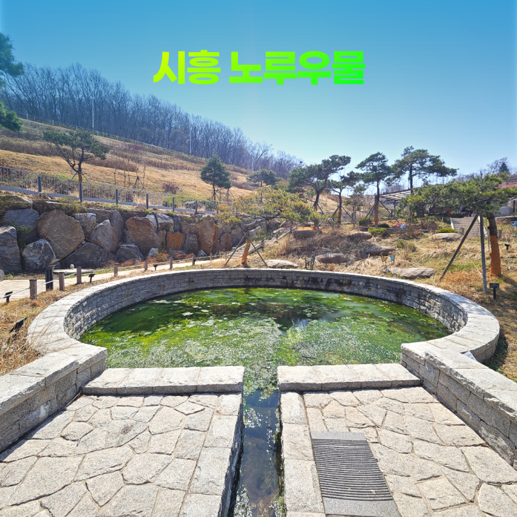 시흥 노루우물 500년 역사를 간직한 자연명소 시흥 노루우물 500년 역사를 간직한 자연명소