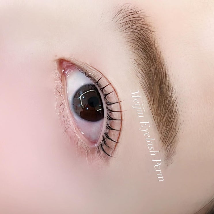  속눈썹 블랙틴팅 시술, 왜 지금 꼭 받아야 할까요?