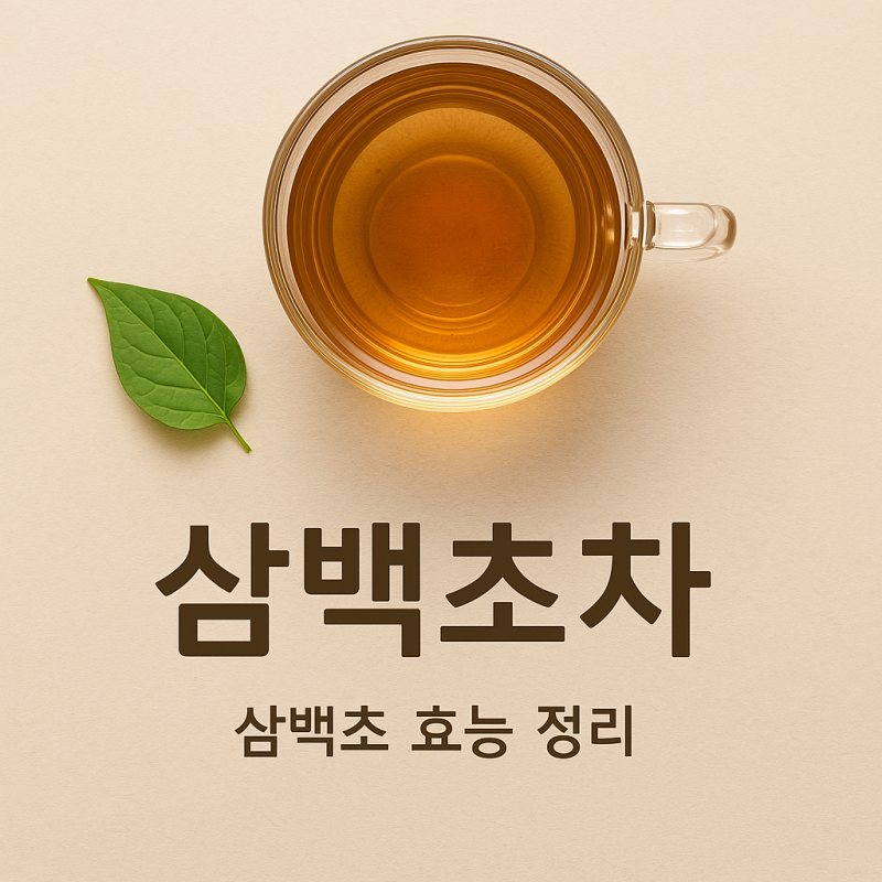 삼백초의 효능과 부작용, 삼백초차와 추출물 활용법까지