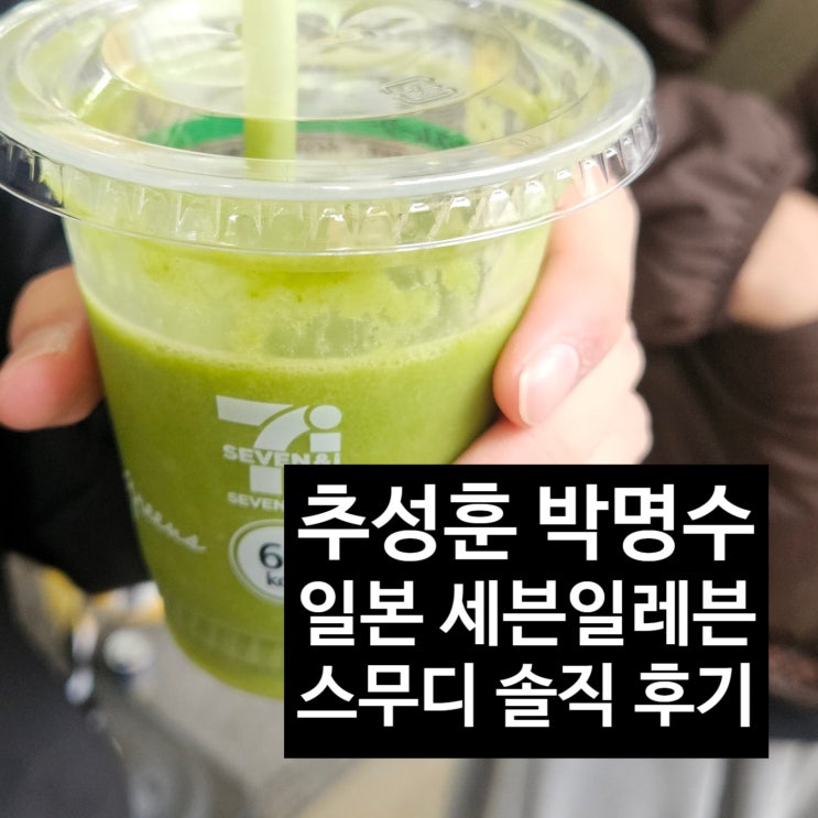  박명수 추성훈 스무디 세븐일레븐 일본 편의점 후기