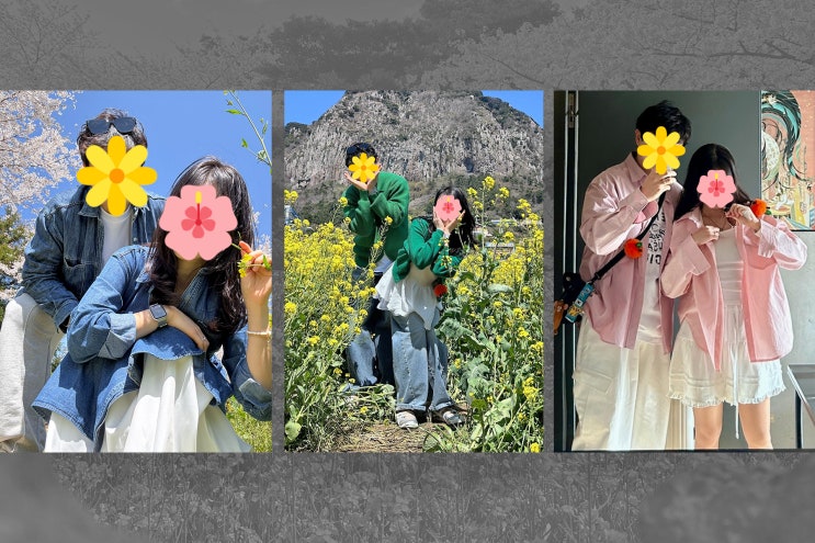  제주도 벚꽃·유채꽃 개화 시기 & 봄 커플룩 추천 (인생샷 코디 3가지)