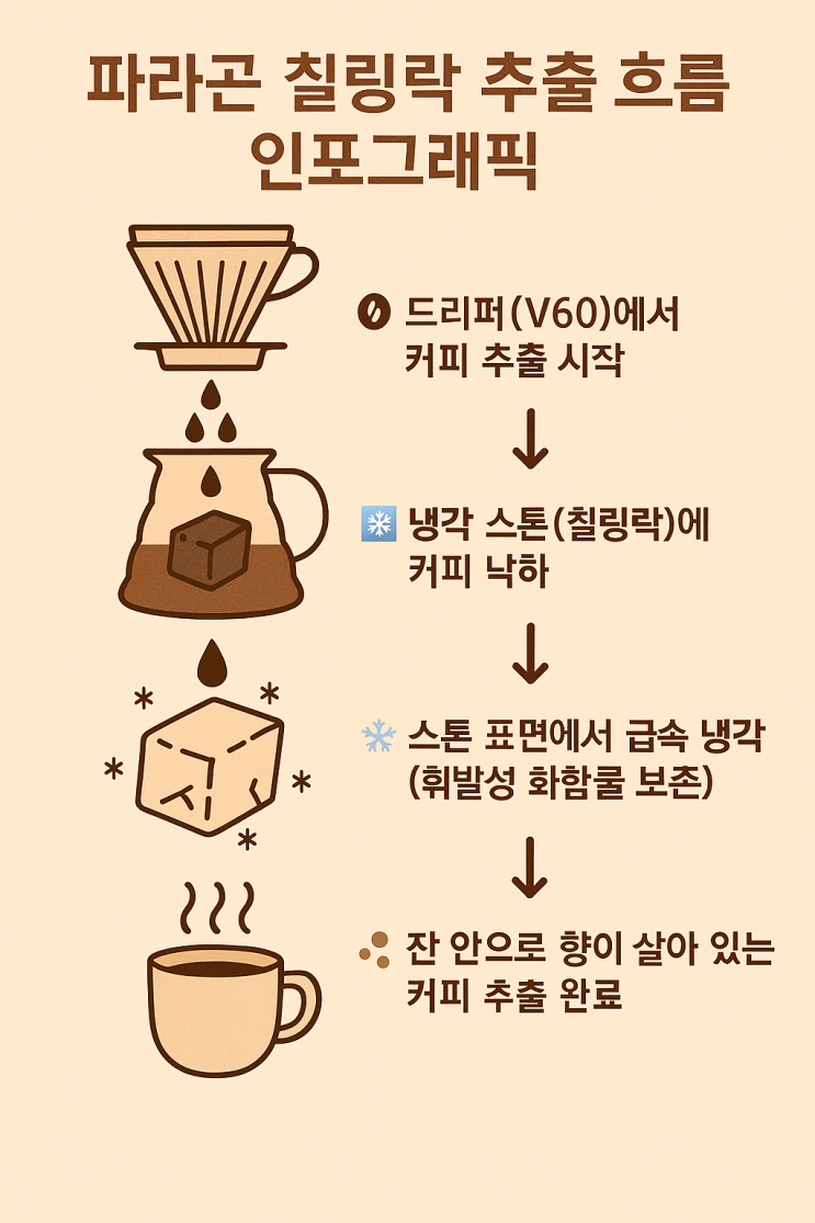  파라곤 칠링락, 커피 향미를 바꾸는 과학 – 원리부터 실전 후기도 정리!