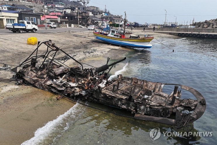 경북 산불 어업 피해 158억원…"양식어가 보험금 전혀 못 받아" 경북 산불 어업 피해 158억원…"양식어가 보험금 전혀 못 받아"