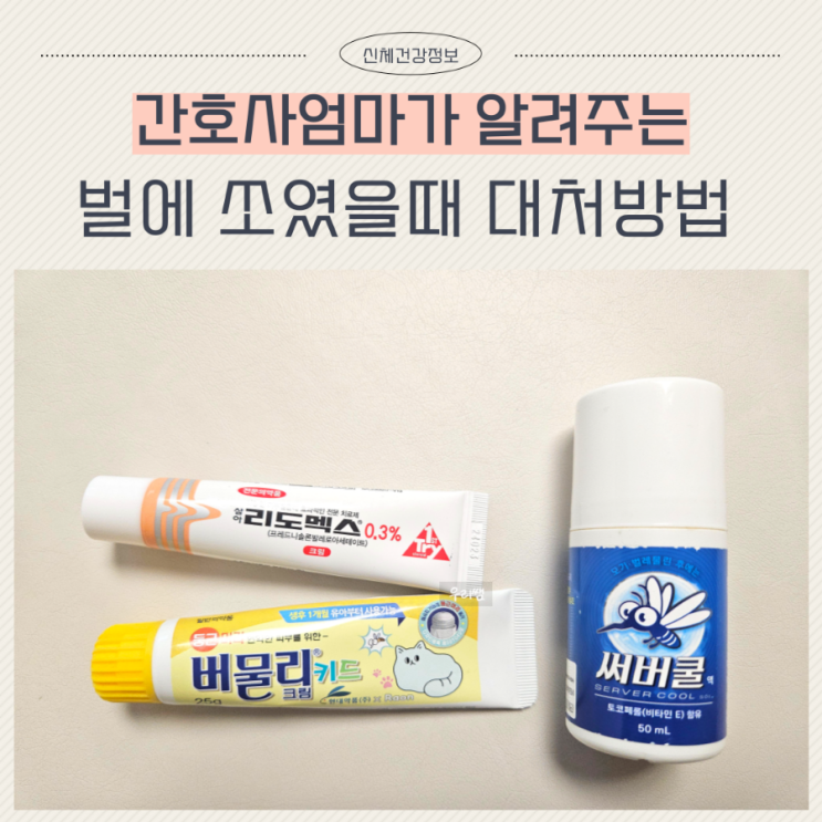  벌에 쏘였을때 리도맥스 응급처치 병원 가야할까