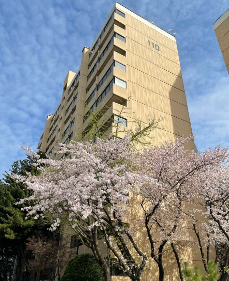  재건축,신축 단지 최근 분위기한번 핥아 보자!