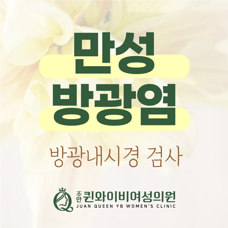  도화동산부인과 여자 방광염 혈뇨 있다면, 방광내시경 검사