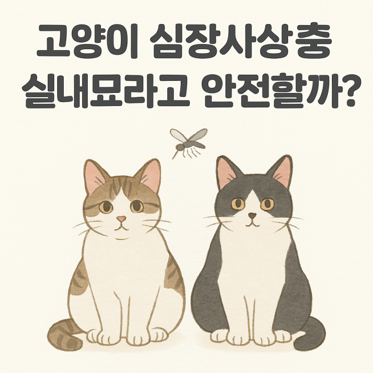  강아지처럼 산책하지 않아도 실내고양이 심장사상충 위험한 이유