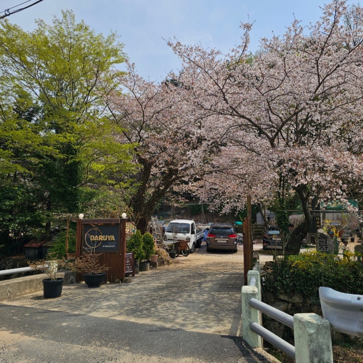  양산 통도사 맛집 자연식 한식 삼계탕 다루야