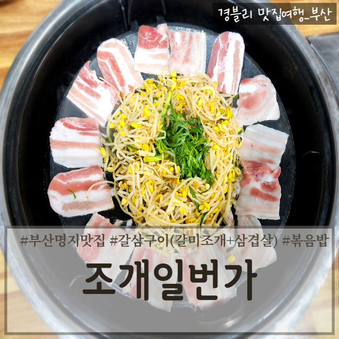  부산갈미조개추천 갈삼구이맛집 '부산명지맛집 조개일번가'