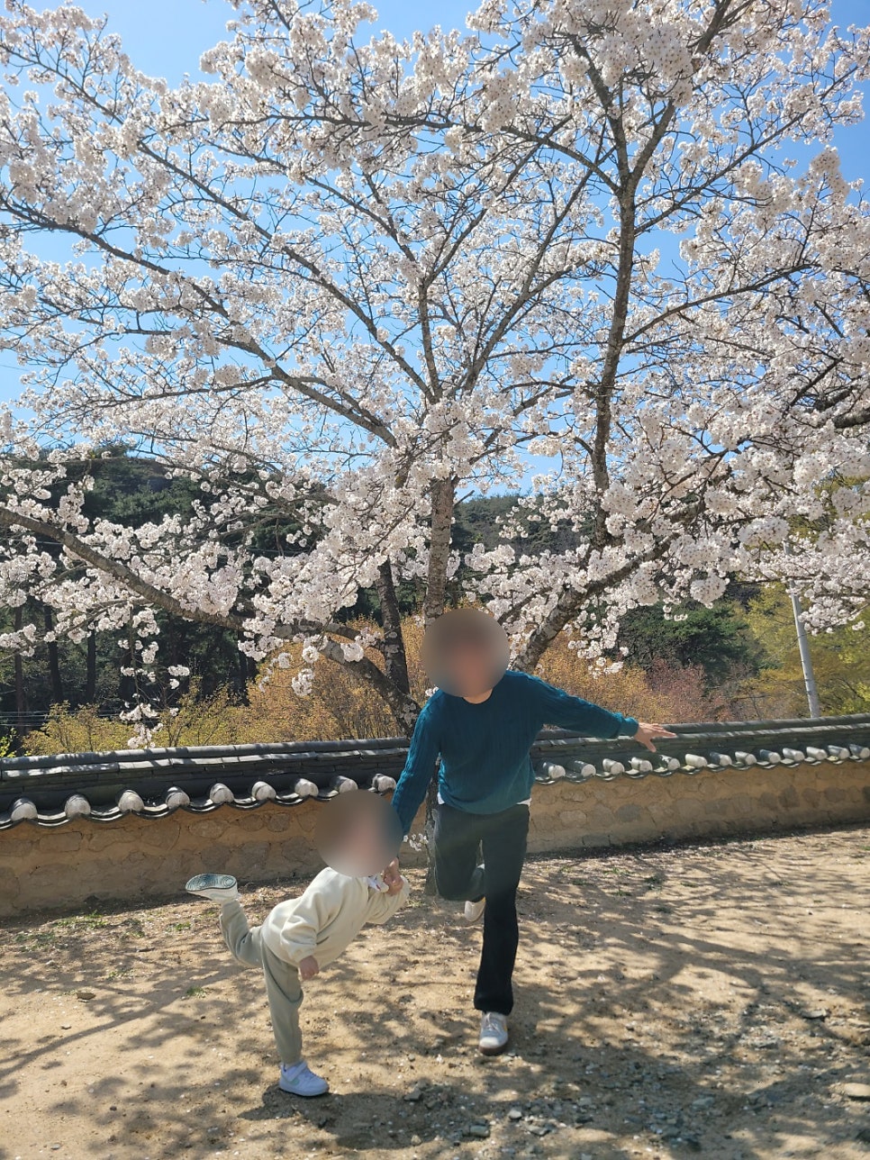 진미원 사진 4