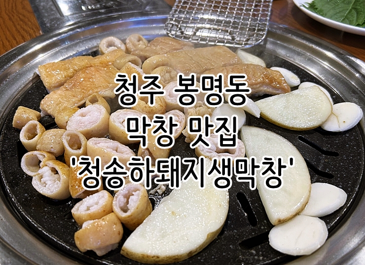  청주 봉명동 막창 맛집 '청송하돼지생막창'
