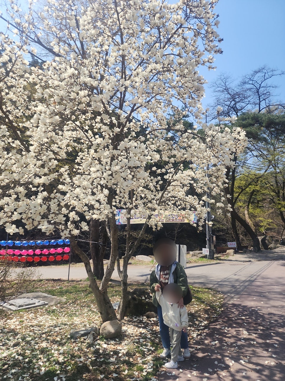 진미원 사진 5