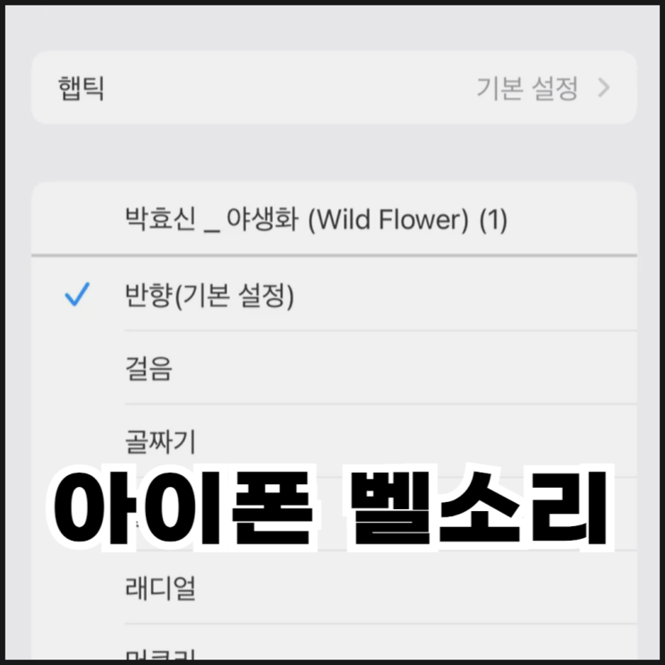  아이폰 벨소리 만들기(벨소리 메이커)